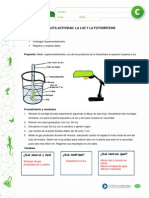 Experimento Fotosíntesis