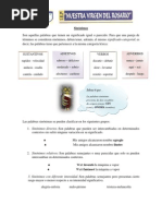 Sinónimos teoria y pract