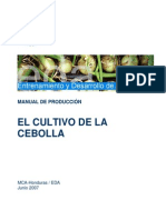EDA Manual Produccion Cebolla 06 07