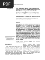 Download c 030204 by nikitadannisw SN179746787 doc pdf