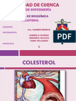 Colesterol Exposicion