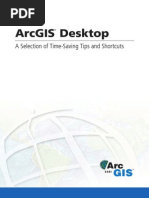 01.- ArcGIS Desktop Tips