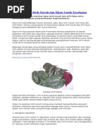 Download Manfaat Daun Sirih Merah dan Hijau Untuk Kesehatandoc by Kang Fuji SN179806003 doc pdf