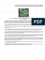 Tuliskan Sebuah Cerita Berdasarkan Peribahasa Yang Bertajuk