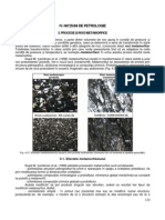 06. INTRODUCERE IN GEOLOGIE - CURS 06 - PETROLOGIE METAMORFICA.pdf