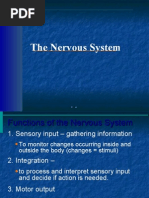 Download anatomy Presentation ho 7nervous system by habtamu SN17983917 doc pdf