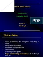 10924780 Credit Rating Process