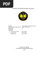 Download LAPORAN PRAKTIKUM KIMIA ANALISA KATION GOLONGAN PERTAMAdocx by Fitriyatun Nur Jannah SN179842186 doc pdf