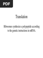 Eukaryote Translation PDF