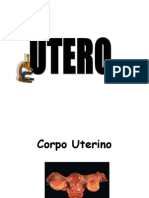 Utero