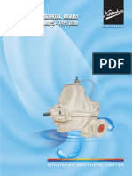 DSM PDF