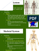 anatomy presentation ho 3(BoneTissue)