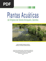 Plantas Acuaticas Plantas Hoja