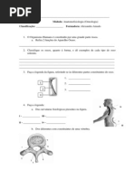 Download Teste de Osteologia - Turma de Massagem de LISBOA by Alexandra Amado SN179998059 doc pdf