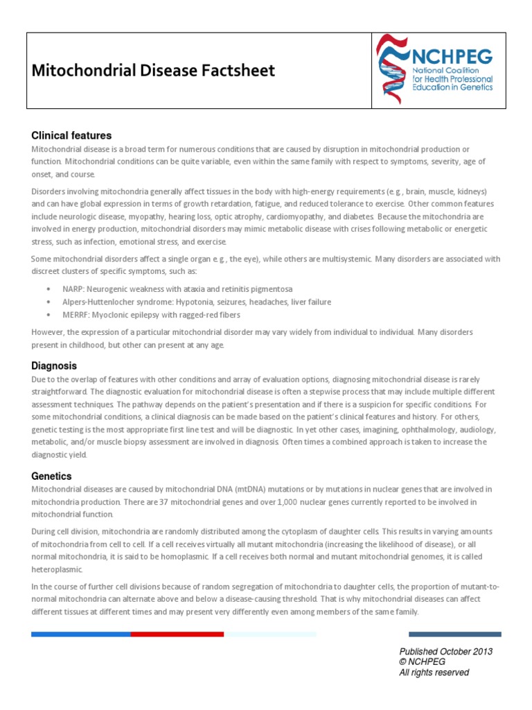 Mitochondrial Disease Factsheet | PDF | Mitochondrion | Mitochondrial Dna