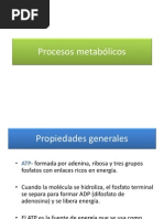 Ppt Respiracion Celular