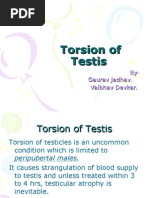 Testicular Torsion