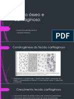 Tecido Ósseo e Cartilaginoso - Apresentação Histologia