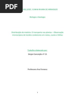 Relatório Biologia - Transporte nas plantas.pdf