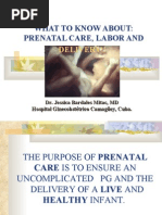 Download Prenatal by khadzx SN18005810 doc pdf