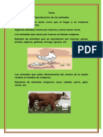 resumen de r  de los animales