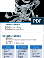 Difilobotriasis