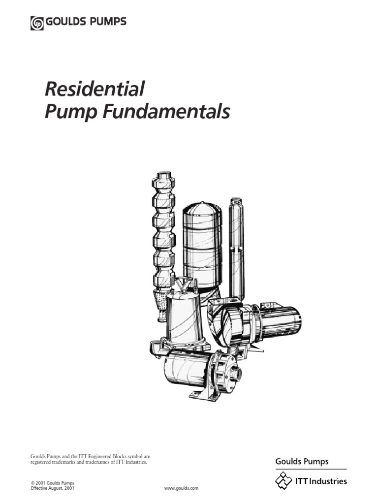 Bpump PDF | PDF | Science & Mathematics