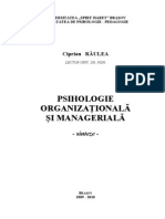 Psihologie Organizationala - Ciprian Raulea