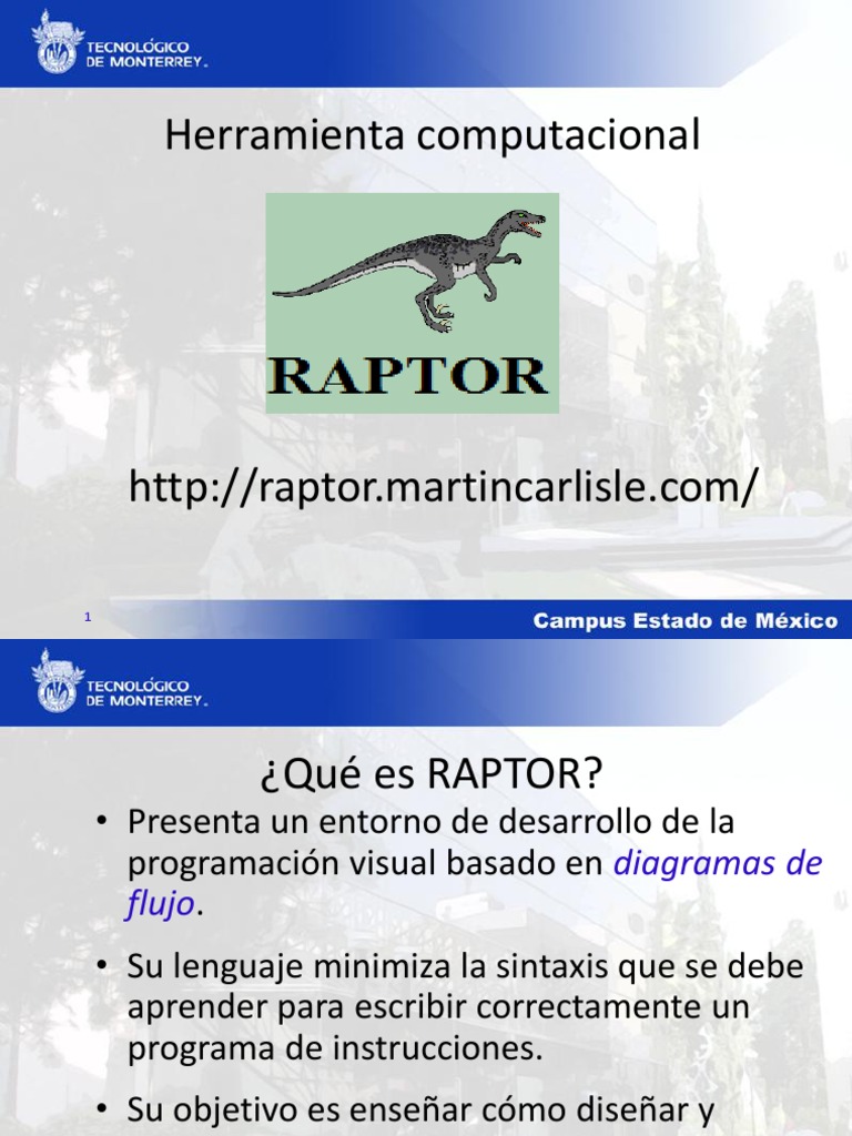 Raptor | PDF | Programa de computadora | Programación