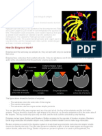 Enzymes.pdf