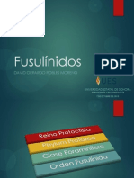 Eyp - Robles Moreno - Fusulínidos