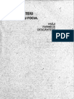 Jocul Cu Focul PDF