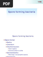 Download Spore Forming Bacteria by asif meraj SN18019458 doc pdf