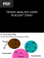 Download Gel Electorphoresis by zamakhsyarifattah SN18019534 doc pdf