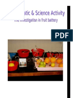 (SCI) Report of Fruit Battery