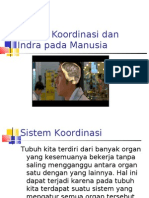 Sistem Koordinasi Dan Indra Pada Manusia