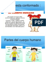 Aprendiendo Cómo Está Formado El Cuerpo Humano