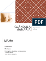 Anatomia Glandula Mamaria