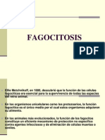 fagocitosis-120416210057-phpapp02