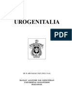 Diktat Urogenitalia