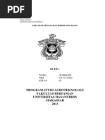 Download Makalah Permasalahan Pemasaran Kripik Singkong by Sukri Adi SN180255509 doc pdf