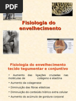 Fisiologia Do Envelhecimento