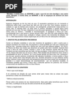 O-PODER-DA-GRATIDÃO