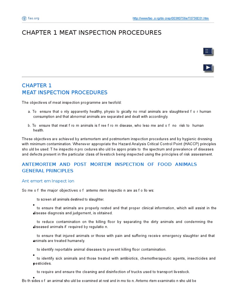Meat Inspection Procedures Overview | PDF | Foods | Wellness