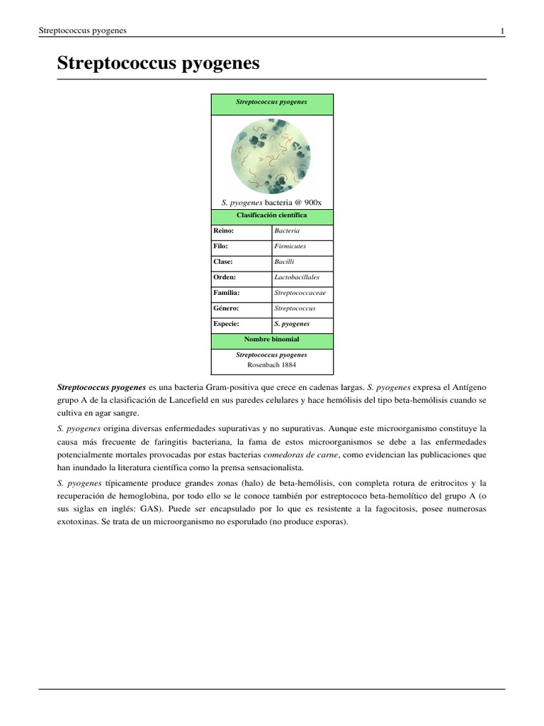 Streptococcus Pyogenes Leitlinie Pdf – EILBI
