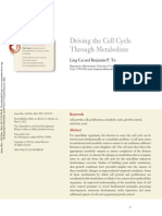 Driving The Cell Cycle Through Metabolism: Further