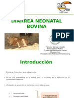 Diarrea Neonatal Bovina Grpo2 2013 B