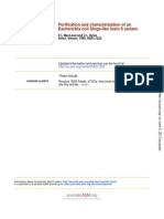 Escherichia Coli Shiga-Like Toxin II Variant. Purification and Characterization of An