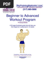 Beginner To Advanced Workout Program