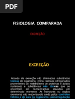 Fisiologia Comparada da Excreção